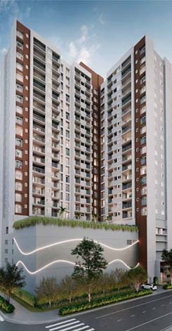 RAIZES PREMIUM CAMPO BELO